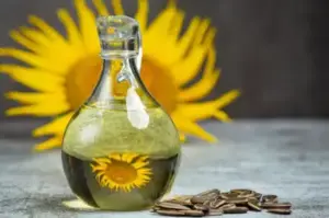 sunflower oil and CBD for dogs 