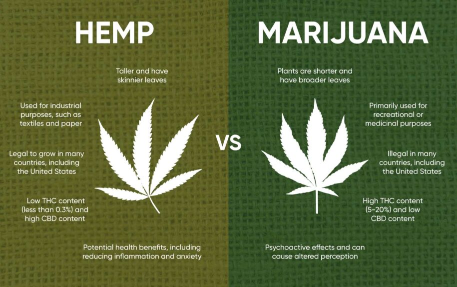 hemp vs marijuana graphic hero